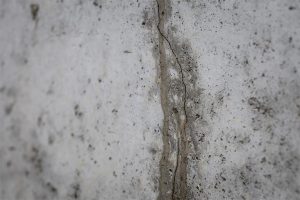 Close-up of cracked foundation in a basement