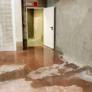 How to Dry a Wet Basement - Pro Waterproofers