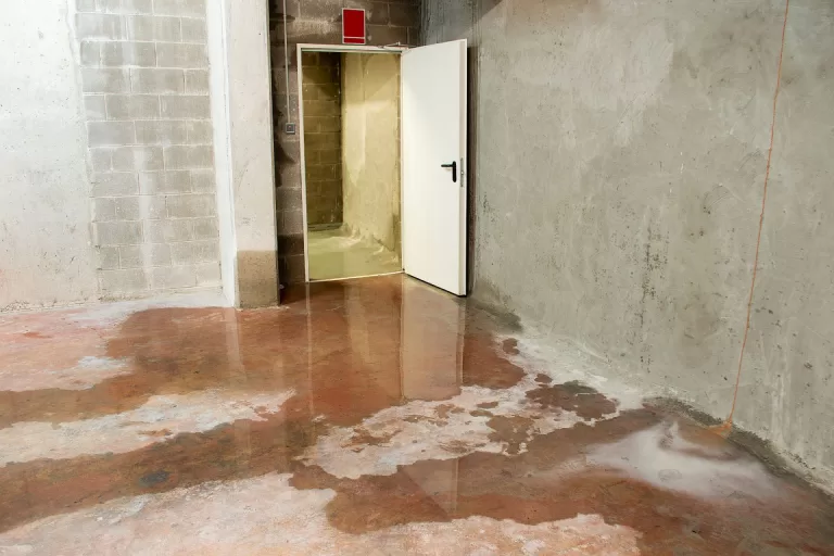 A damp basement with puddles of standing water, indicating a leak