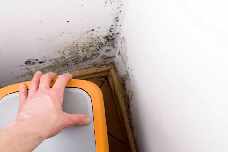 Mould and mildew growth in one corner of a wall due to a basement leak 